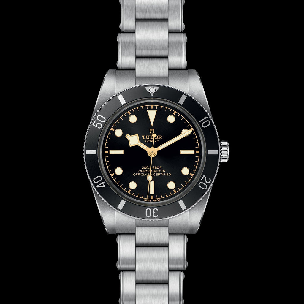 Tudor - TUDOR Black Bay 54