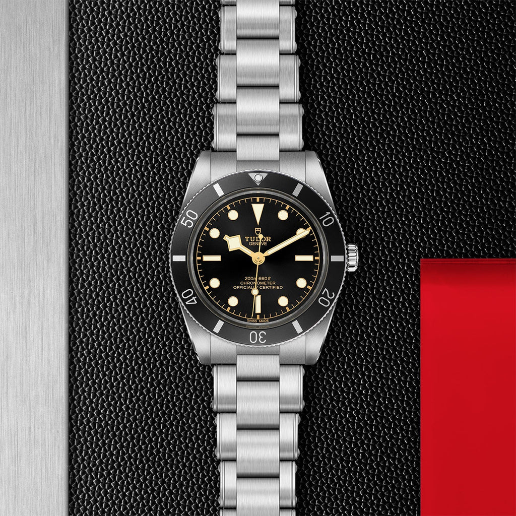 Tudor - TUDOR Black Bay 54