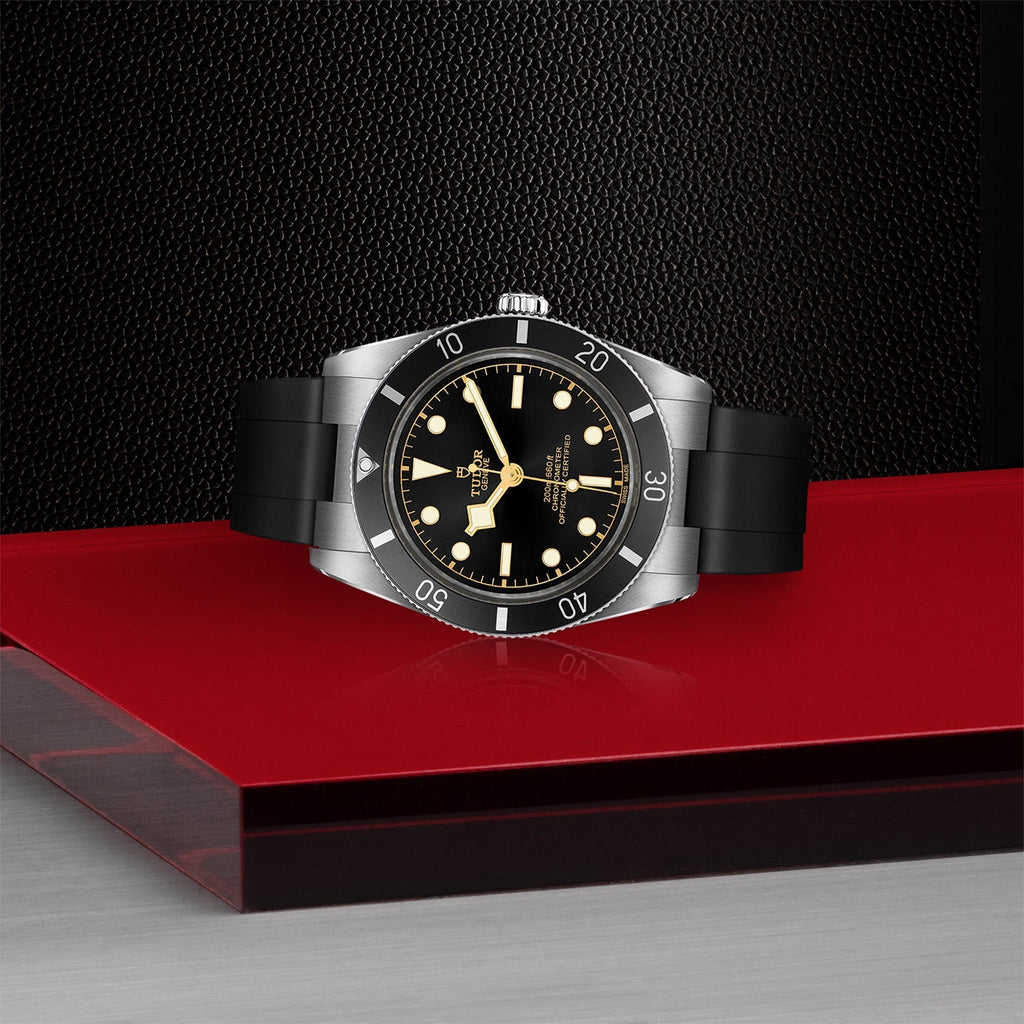 Tudor - TUDOR Black Bay 54