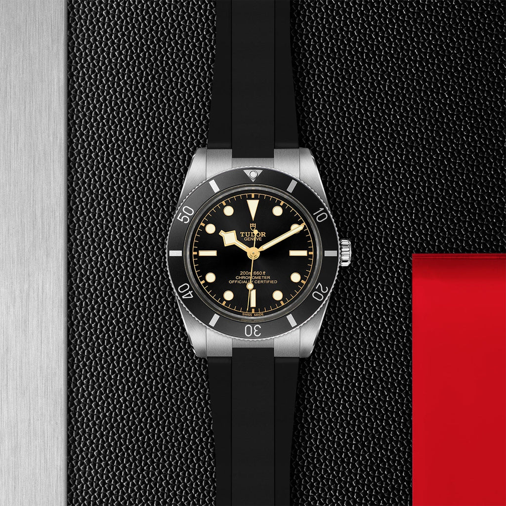 Tudor - TUDOR Black Bay 54