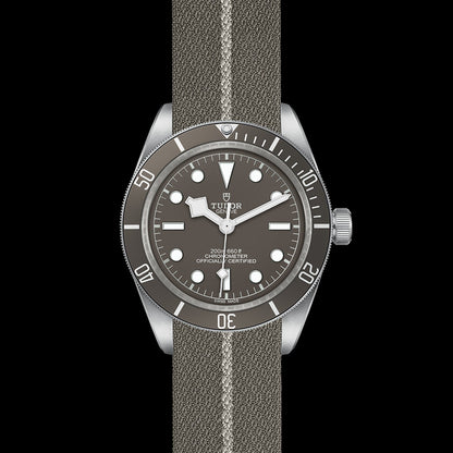 TUDOR Black Bay 58 925