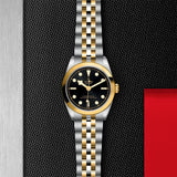 Tudor - TUDOR Black Bay 31 S&G