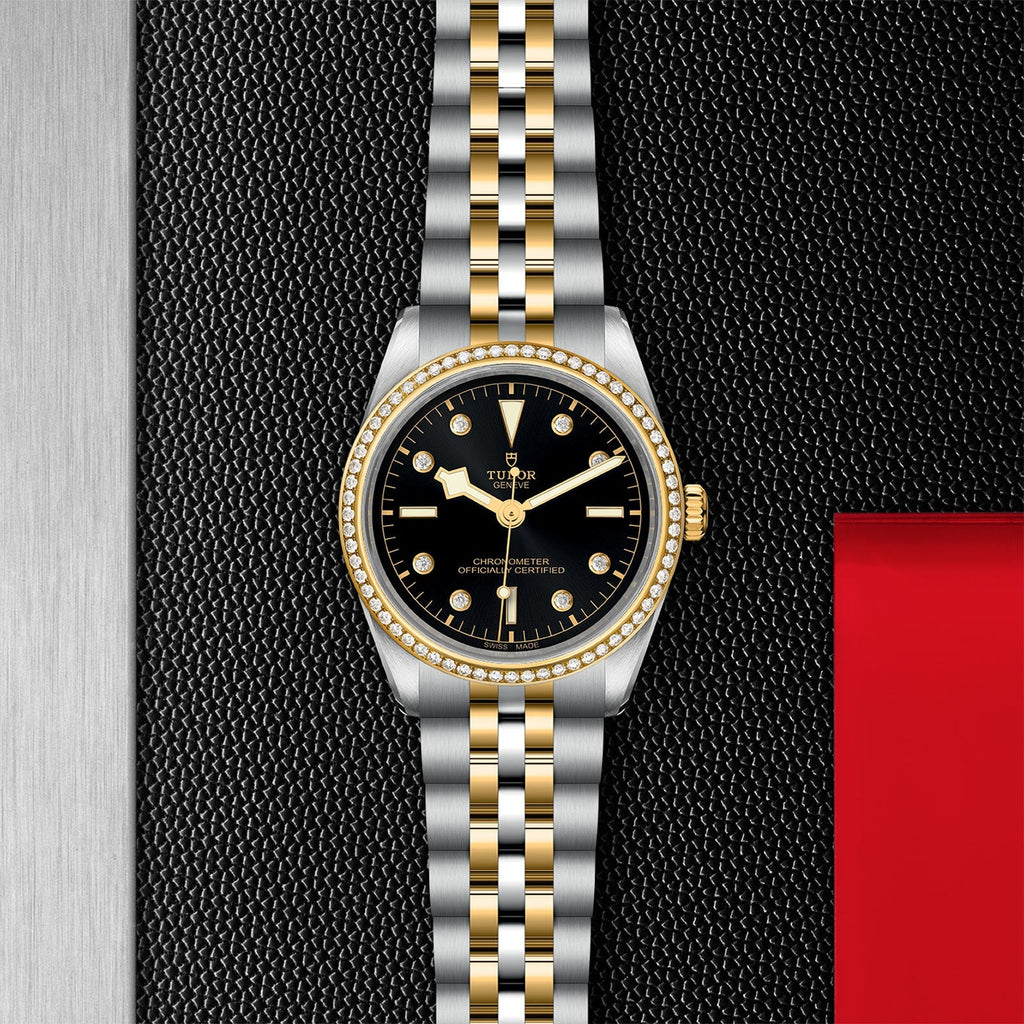 Tudor - TUDOR Black Bay 36 S&G