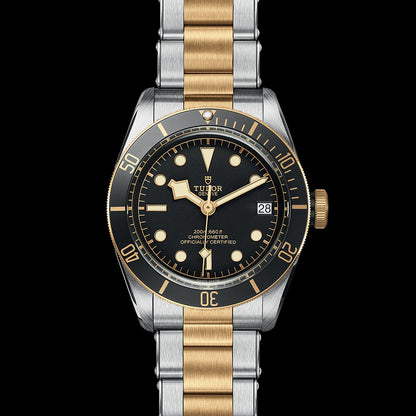 TUDOR Black Bay S&G