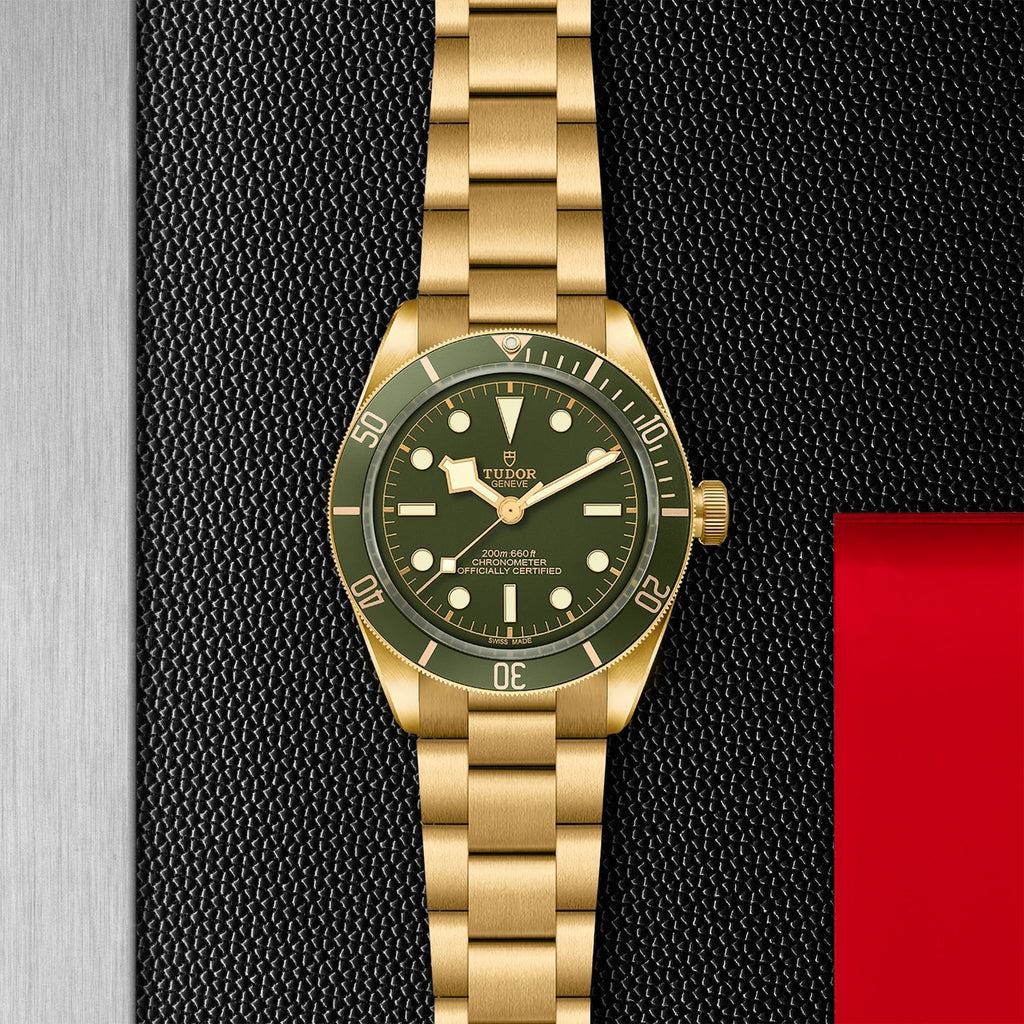 Tudor - [新款] TUDOR Black Bay 58 18K